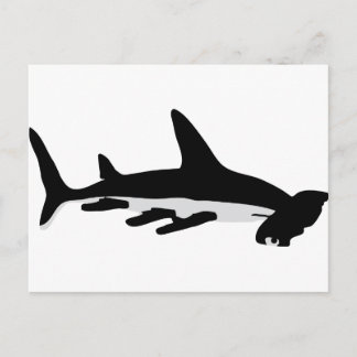 Postal tiburón martillo