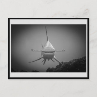 Postal Tiburón martillo BW 0001 ハ・マ Carte ド