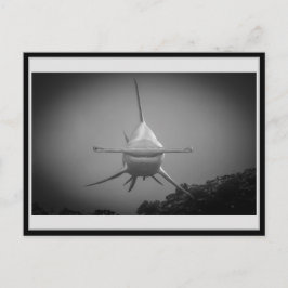 Postal Tiburón martillo BW 0001 ハ・マ Carte ド
