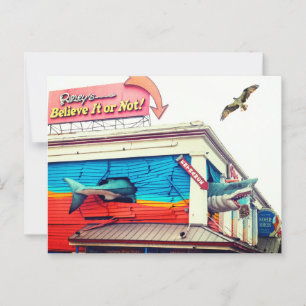 Postal Tiburón y Osprey