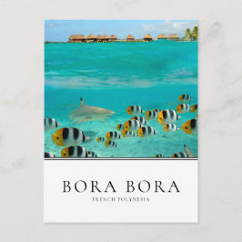 Postal Tiburón y peces en Bora Bora, Polinesia Francesa