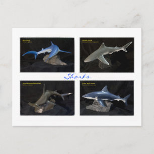 Postal Tiburones