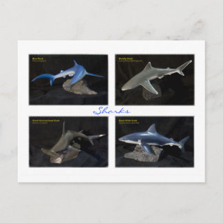 Postal Tiburones