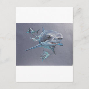 Postal Tiburones a raya
