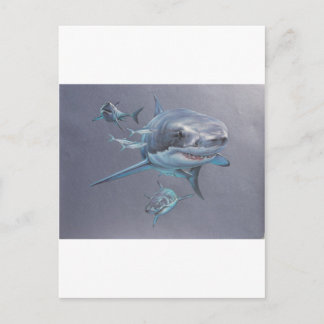 Postal Tiburones a raya