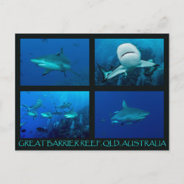 Postal Tiburones del Arrecife del Mar de Coral