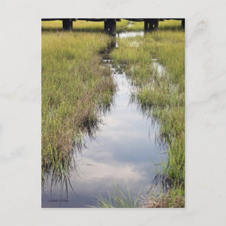 Postal Tidal Creek