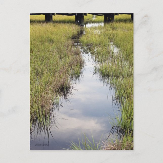 Postal Tidal Creek (Anverso)