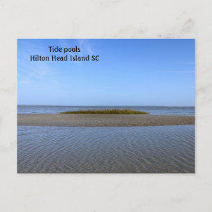 Postal Tide Pools Carolina del Sur