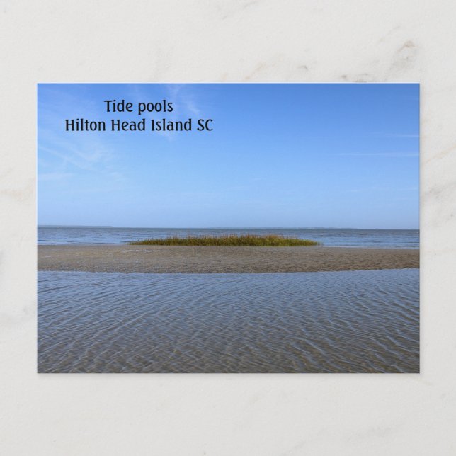 Postal Tide Pools Carolina del Sur (Anverso)