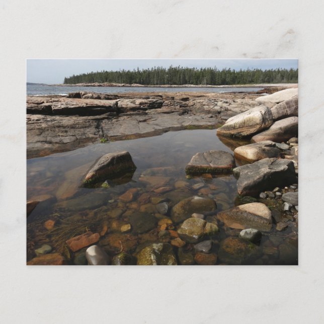 Postal Tidepool en Wonderland, Parque Nacional Acadia (Anverso)