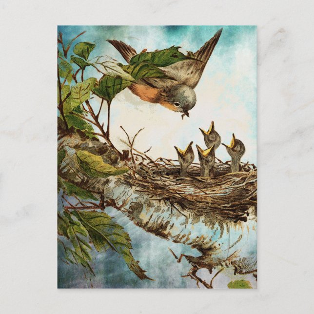 POSTAL TIEMPO DE ALIMENTACIÓN (Anverso)