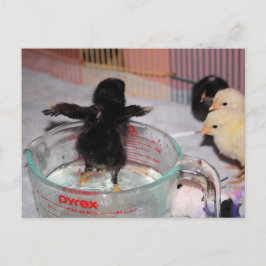 Postal Tiempo de baño