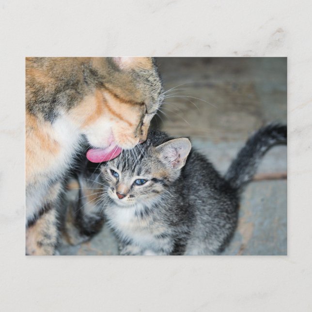 Postal Tiempo de baño (Anverso)