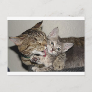 Postal Tiempo de baño