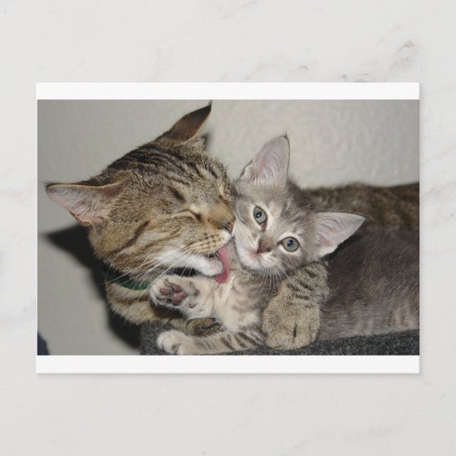 Postal Tiempo de baño (Anverso)