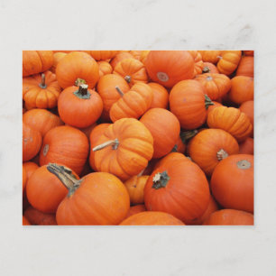 Postal Tiempo de calabaza