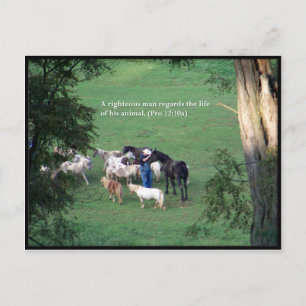 Postal Tiempo de Chow