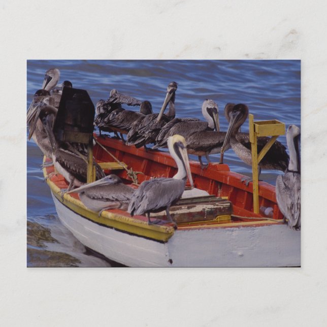 Postal Tiempo de descanso, Venezuela (Anverso)