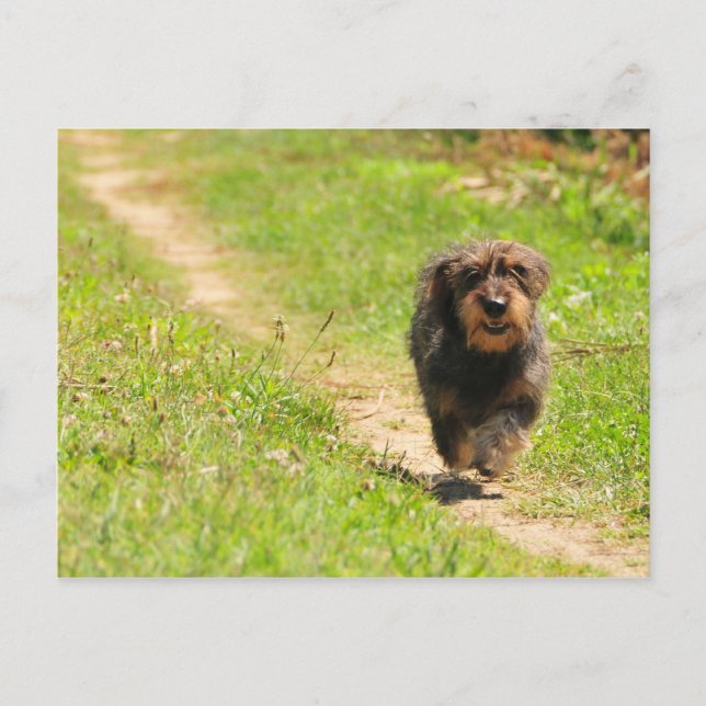 Postal Tiempo de diversión (Anverso)