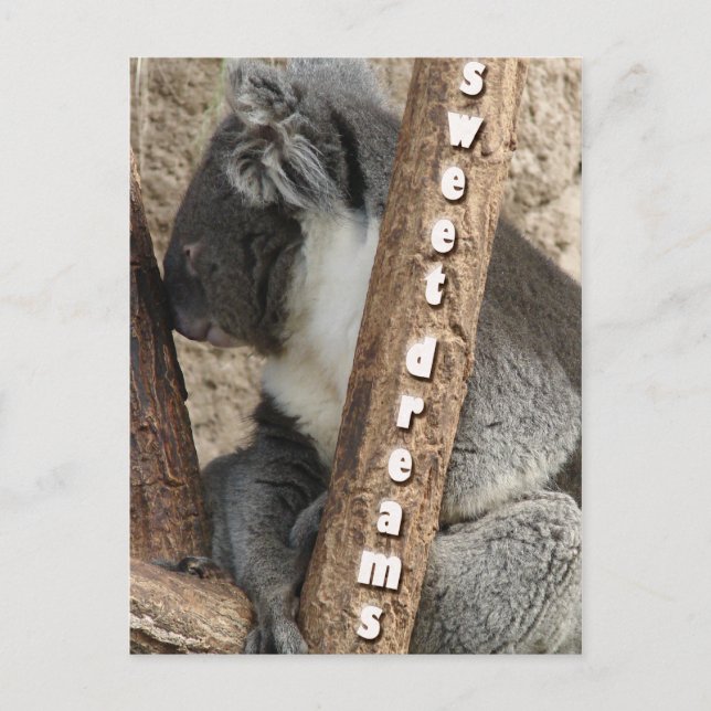 Postal Tiempo de la siesta (Anverso)