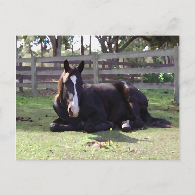 Postal Tiempo de la siesta de los caballos (Anverso)