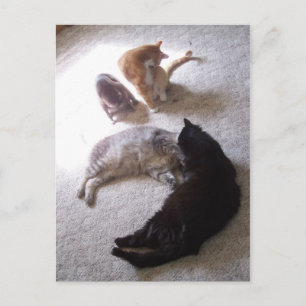 Postal tiempo de limpieza