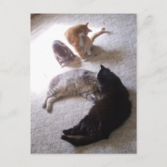 Postal tiempo de limpieza (Anverso)