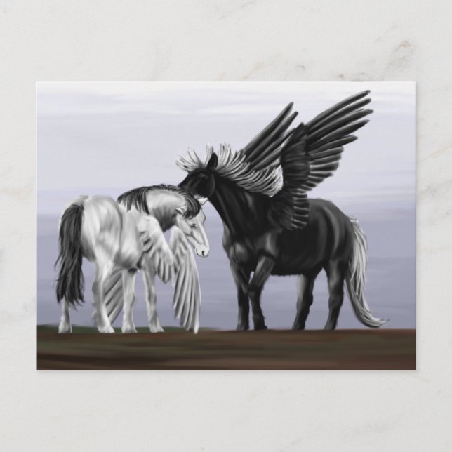 Postal Tiempo de reproducción 1 (Anverso)