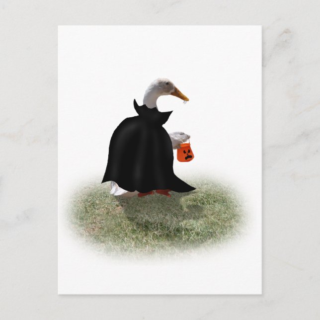 Postal Tiempo de truco o truco para el pato dracula (Anverso)