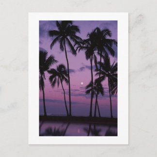 Postal ¡Tiempo de vacaciones!