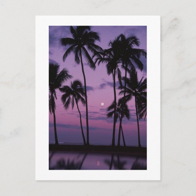 Postal ¡Tiempo de vacaciones! (Anverso)