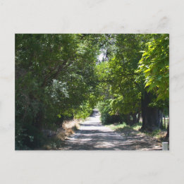 Postal Tiempo de verano