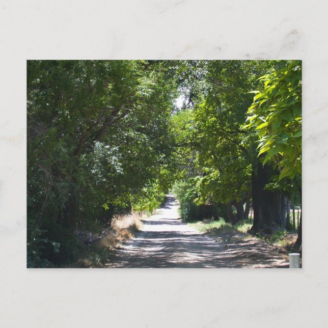 Postal Tiempo de verano (Anverso)