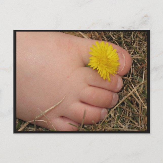 Postal Tiempo de verano (Anverso)