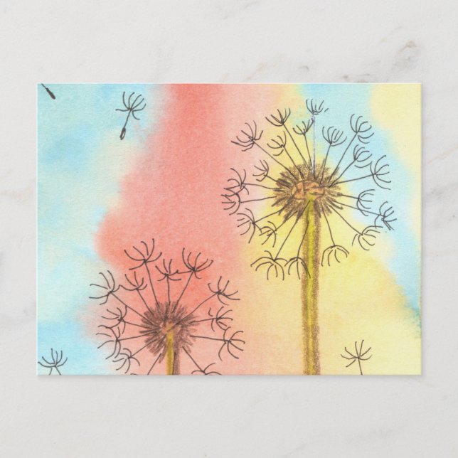 Postal Tiempo de verano Dandelion Fluffs (Anverso)