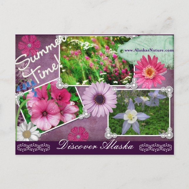 Postal Tiempo De Verano En Alaska (Anverso)