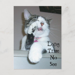 Postal Tiempo largo sin ver