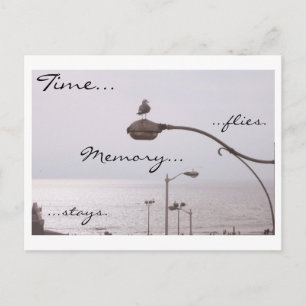 Postal Tiempo... moscas. La memoria se queda.