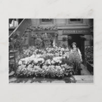 Tienda de flores de Nueva York, 1895