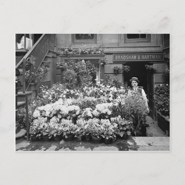 Postal Tienda de flores de Nueva York, 1895 (Anverso)