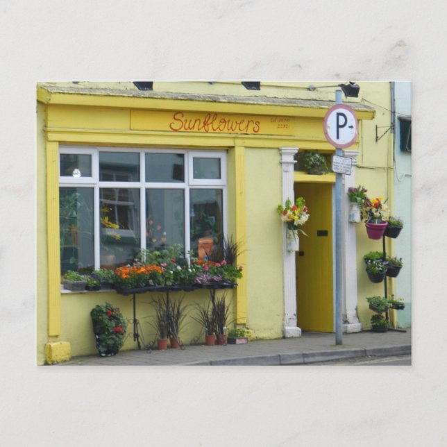 Postal Tienda de flores en Birr - Irlanda (Anverso)