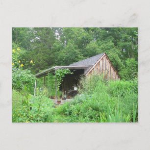 Postal Tienda de hierbas del país