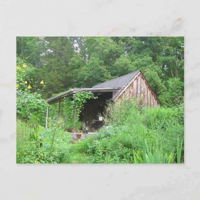 Postal Tienda de hierbas del país (Anverso)