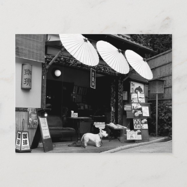 Postal Tienda de paraguas japonesa (Anverso)
