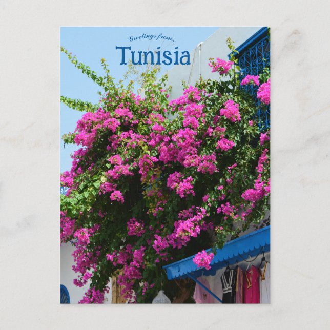 Postal Tienda de ropa y flores en Túnez Túnez Túnez Túnez (Anverso)