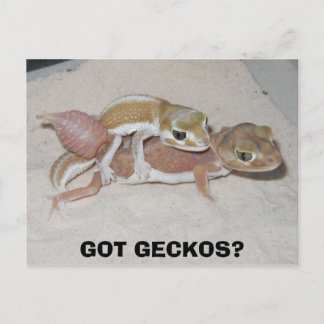 POSTAL ¿TIENE GECKOS?