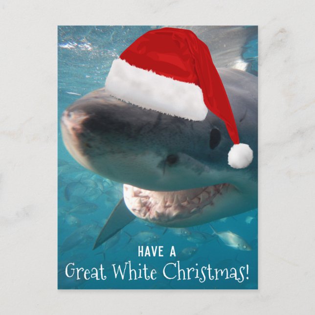 Postal Tienen una gran Australia de tiburones con Navidad (Anverso)