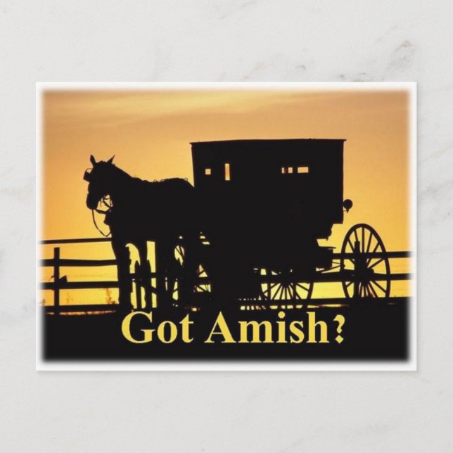 Postal ¿Tienes a Amish? (Anverso)