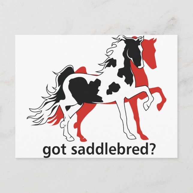 Postal ¿Tienes a Saddlebred? (Anverso)